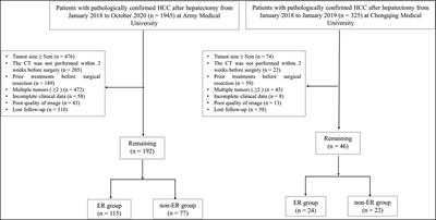 Preoperative prediction of early recurrence of HBV-related hepatocellular carcinoma (≤5 cm) by visceral adipose tissue index